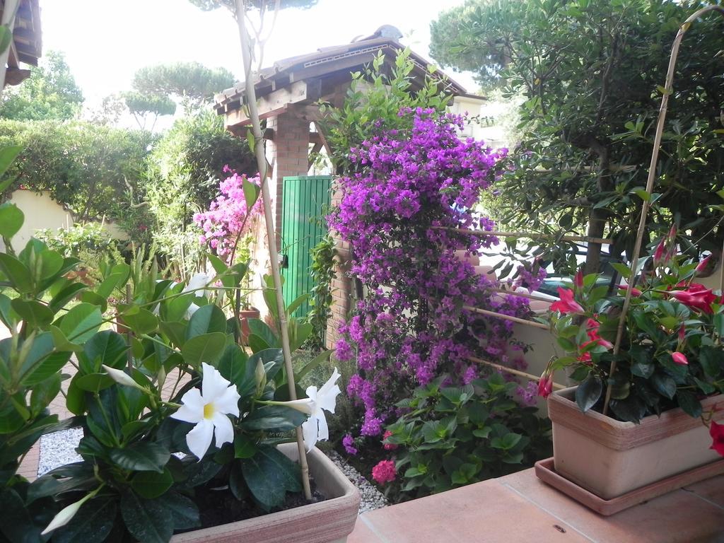 Villa Il Fortino Lido di Camaiore Exterior foto