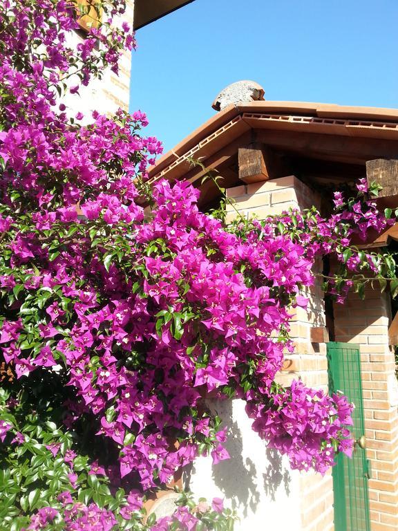 Villa Il Fortino Lido di Camaiore Exterior foto