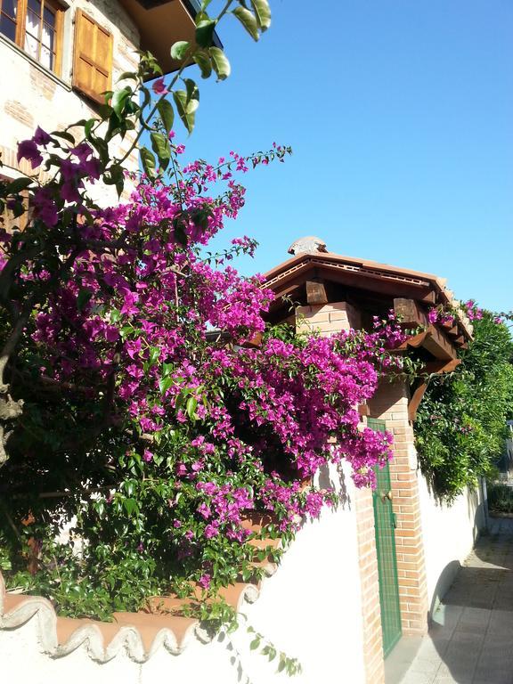 Villa Il Fortino Lido di Camaiore Exterior foto